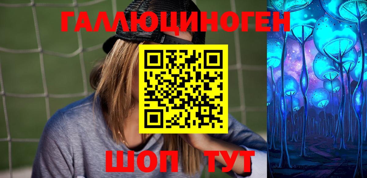 Сергиев Посад  Псилоцибиновые грибы Psilocybe  закладки  Вход с VPN 